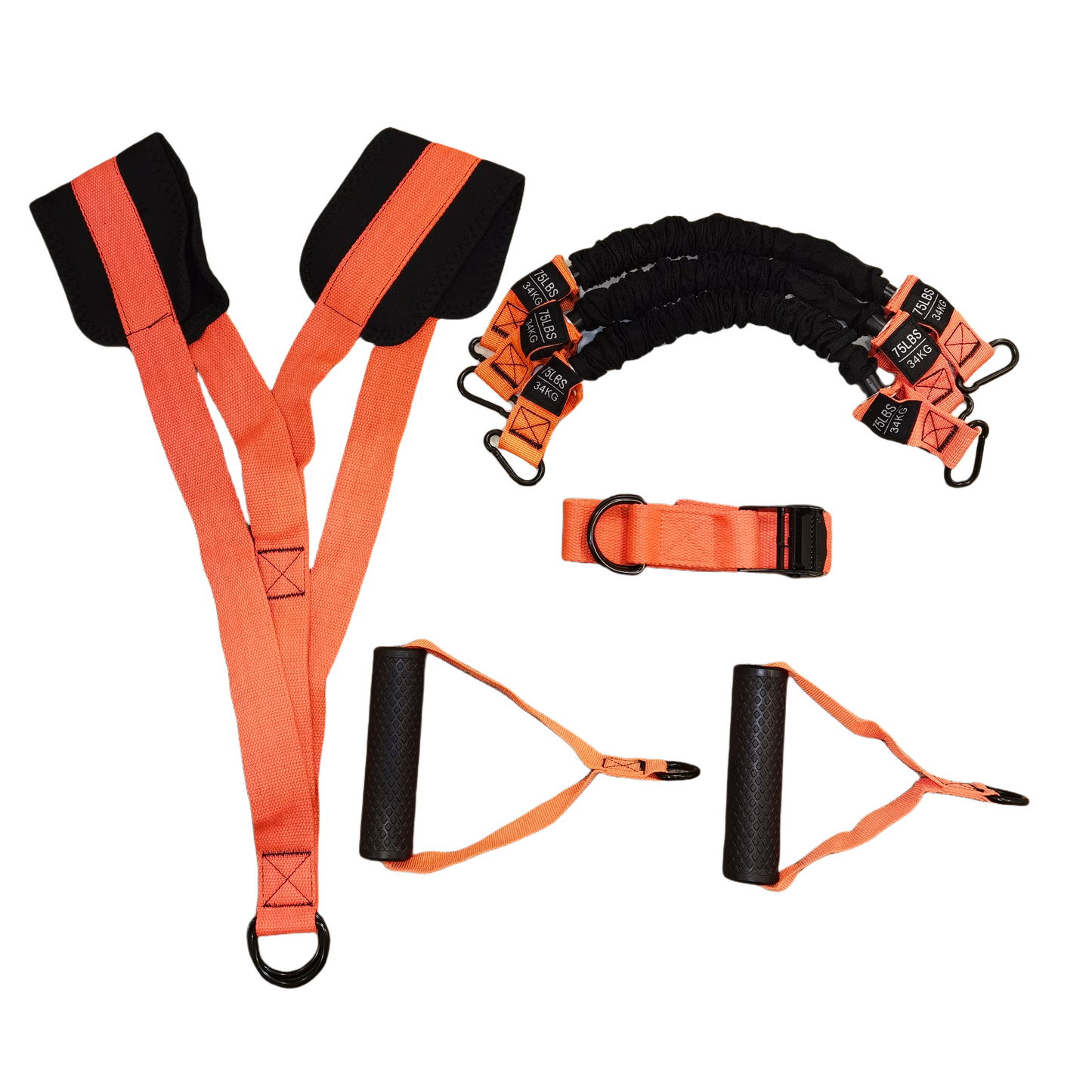 Training Kit With Integrated Door Anchor